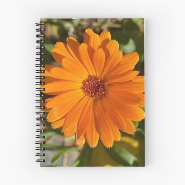 Item preview, Orange Marigold flower designed and sold by irisArtts.