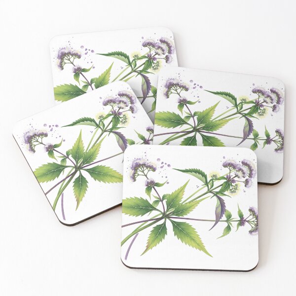 Item preview, Eupatorium Botanical Watercolor Study designed and sold by PixorStudio.