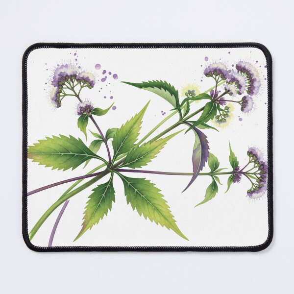 Item preview, Eupatorium Botanical Watercolor Study designed and sold by PixorStudio.