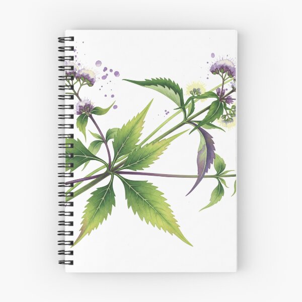 Item preview, Eupatorium Botanical Watercolor Study designed and sold by PixorStudio.