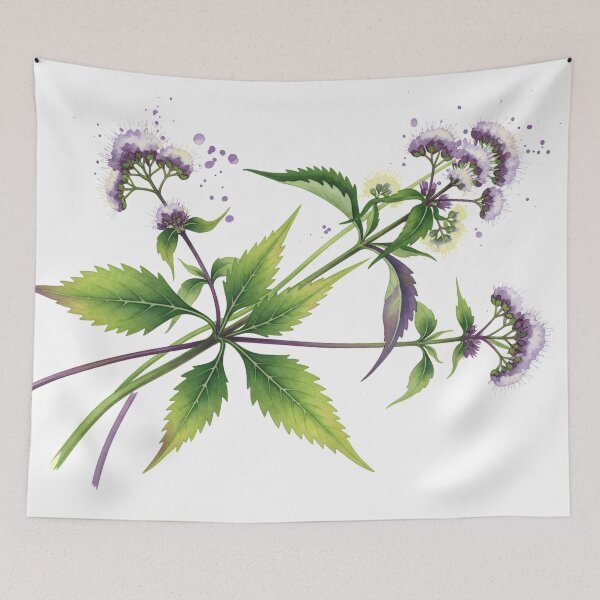 Item preview, Eupatorium Botanical Watercolor Study designed and sold by PixorStudio.