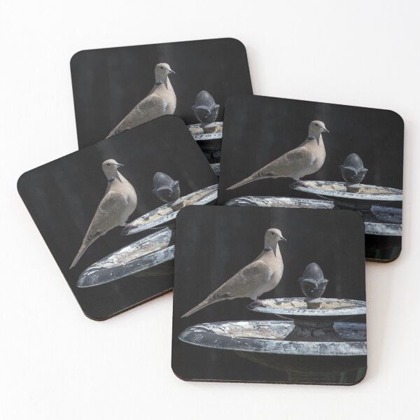 Item preview, Eurasian Collared-Dove designed and sold by CarolM.