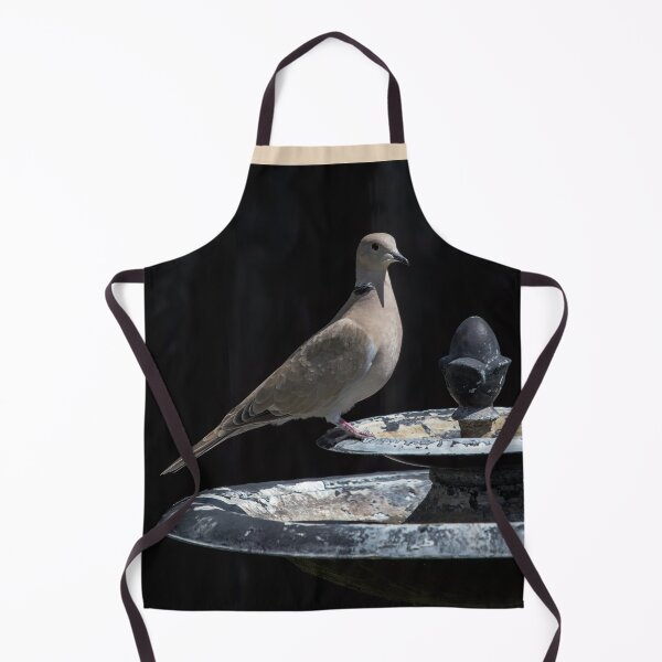 Item preview, Eurasian Collared-Dove designed and sold by CarolM.