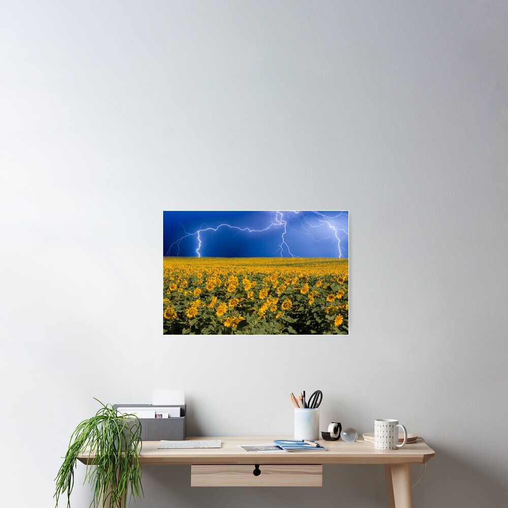 Storm on the Sunflower Field Horizon Poster