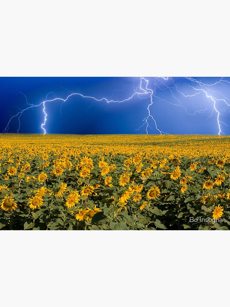 Storm on the Sunflower Field Horizon by mrbo