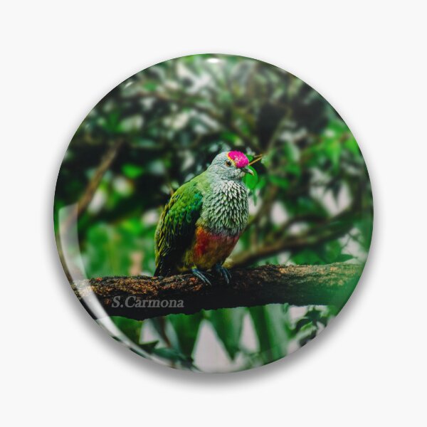 Item preview, The Hidden Gem - Rose-crowned Fruit-dove designed and sold by AuraInkSC.