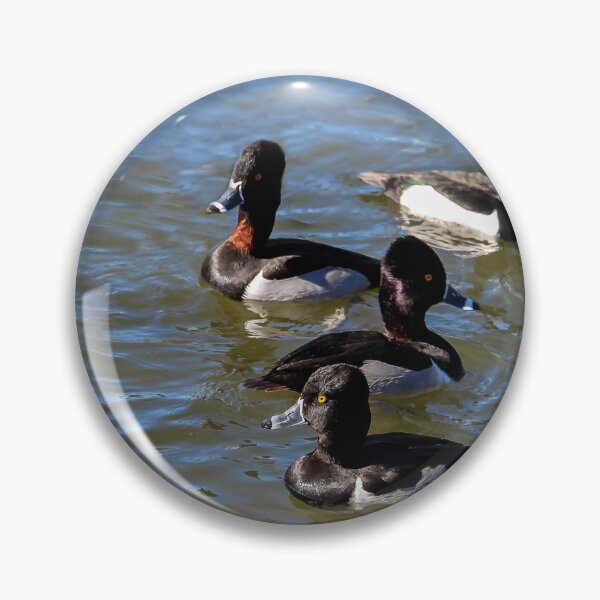 Item preview, Quackers! designed and sold by heatherfriedman.