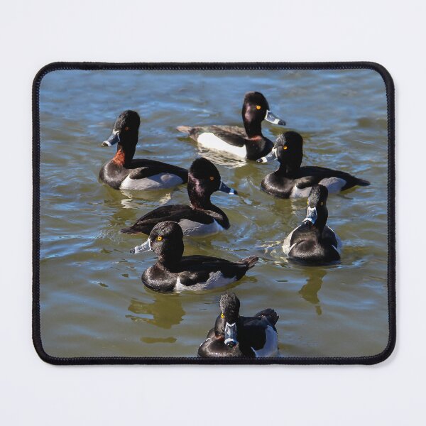 Item preview, Quackers! designed and sold by heatherfriedman.