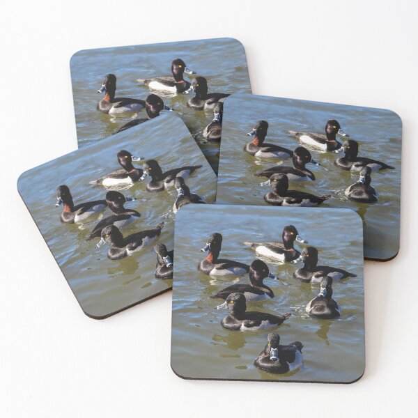 Artikelvorschau, Quacksalber! entworfen und verkauft von heatherfriedman.