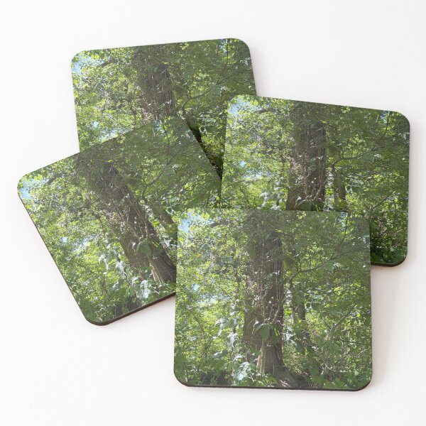Item preview, Green Forest Nature Tree Aesthetic Picture designed and sold by Madie's Photography.