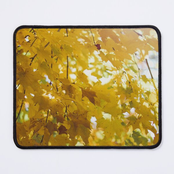 Item preview, Bright Yellow Fall Leaves designed and sold by KimberleeJoy.