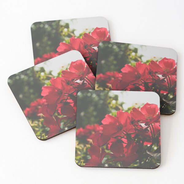 Item preview, Summer Blooms designed and sold by KimberleeJoy.
