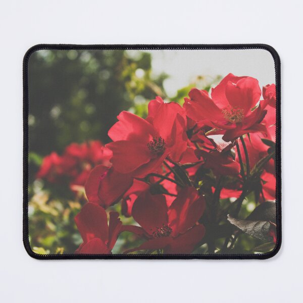 Item preview, Summer Blooms designed and sold by KimberleeJoy.