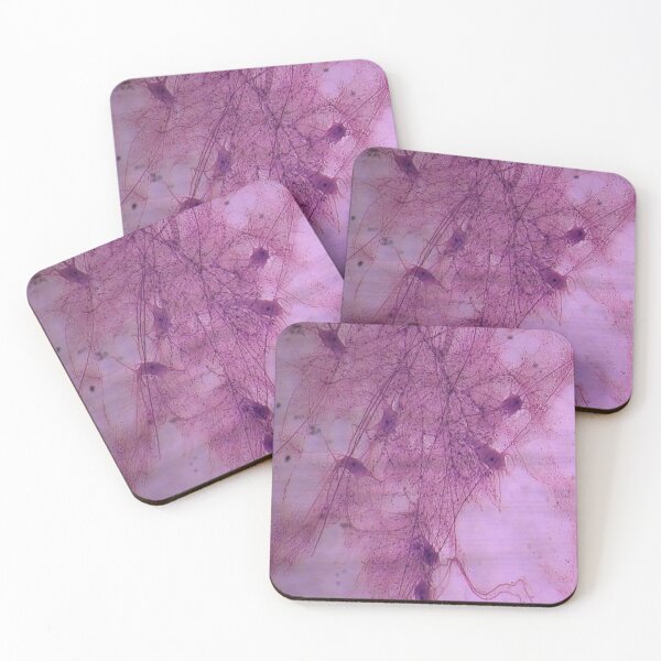 Item preview, Neuron Smear Histology designed and sold by trabeculae carneae.