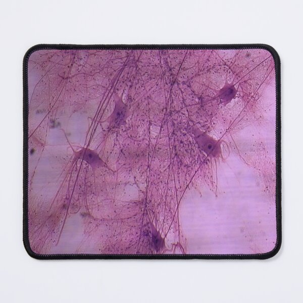 Item preview, Neuron Smear Histology designed and sold by trabeculae carneae.