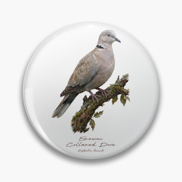 Item preview, Eurasian Collared Dove on Mossy Branch designed and sold by Takeda-art.