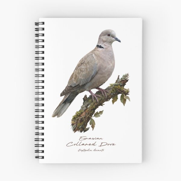 Item preview, Eurasian Collared Dove on Mossy Branch designed and sold by Takeda-art.
