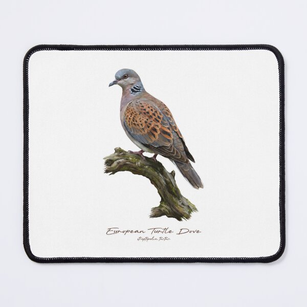 Item preview, European Turtle Dove on Mossy Tree designed and sold by Takeda-art.