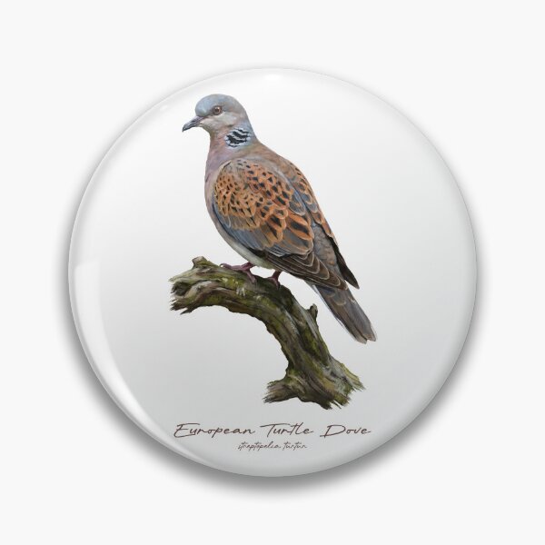 Item preview, European Turtle Dove on Mossy Tree designed and sold by Takeda-art.