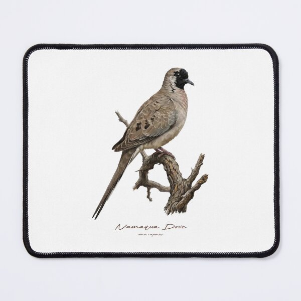 Item preview, Namaqua Dove on Tree designed and sold by Takeda-art.