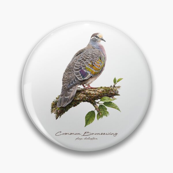 Item preview, Common Bronzewing on Mossy Branch designed and sold by Takeda-art.