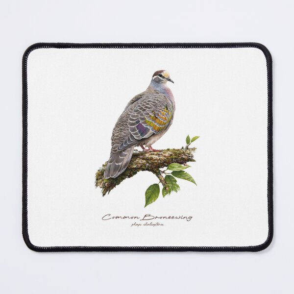 Item preview, Common Bronzewing on Mossy Branch designed and sold by Takeda-art.