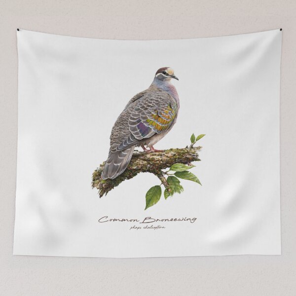Item preview, Common Bronzewing on Mossy Branch designed and sold by Takeda-art.