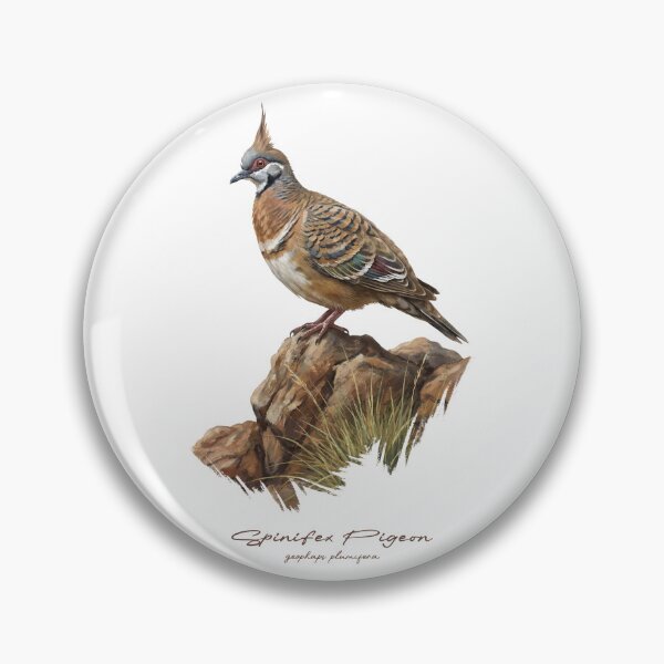 Item preview, Spinifex Pigeon on Rock designed and sold by Takeda-art.