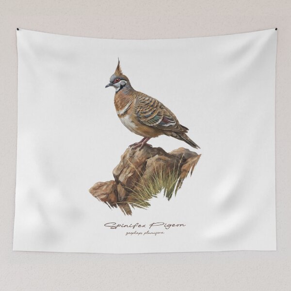 Item preview, Spinifex Pigeon on Rock designed and sold by Takeda-art.