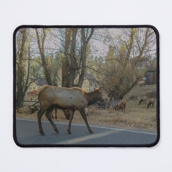 Item preview, Colorado Roads in Autumn v5 designed and sold by OddLilFox.