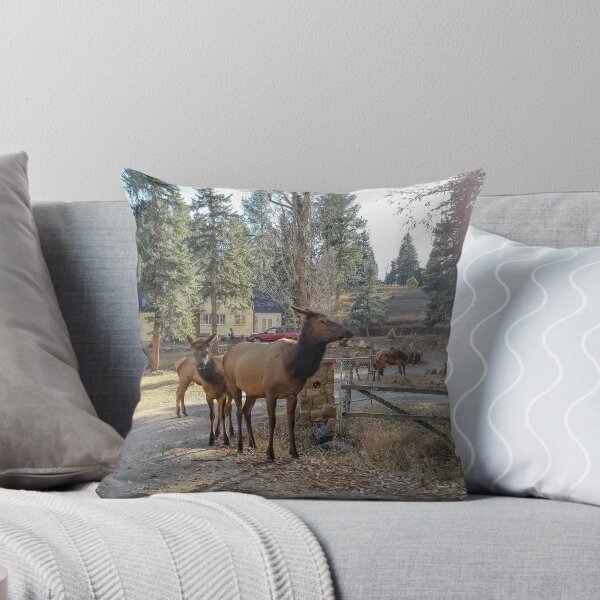 Item preview, Colorado Roads in Autumn v6 designed and sold by OddLilFox.