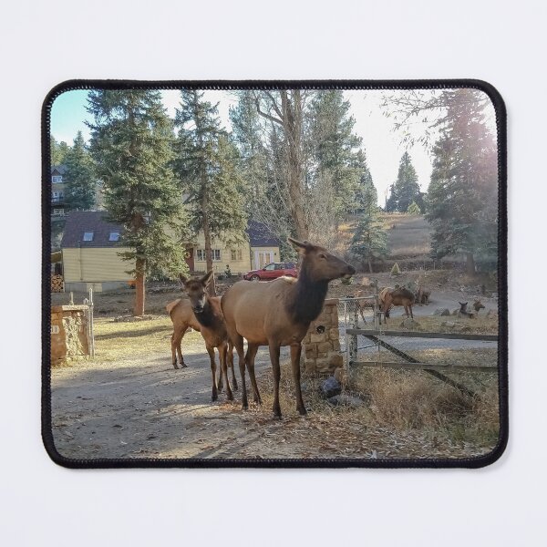 Item preview, Colorado Roads in Autumn v6 designed and sold by OddLilFox.