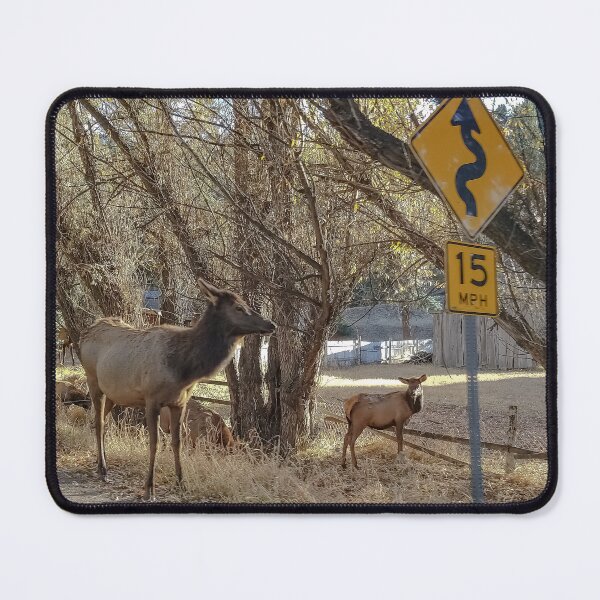 Item preview, Colorado Roads in Autumn v7 designed and sold by OddLilFox.