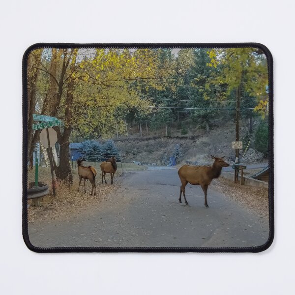 Item preview, Colorado Roads in Autumn v8 designed and sold by OddLilFox.