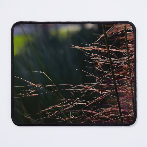 Item preview, Crimson grass during golden hour designed and sold by Baulmonart.