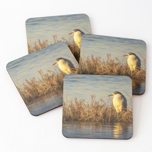 Item preview, Black-Crowned Night Heron | Golden Wetland Wildlife Photography designed and sold by TheHikersEye.
