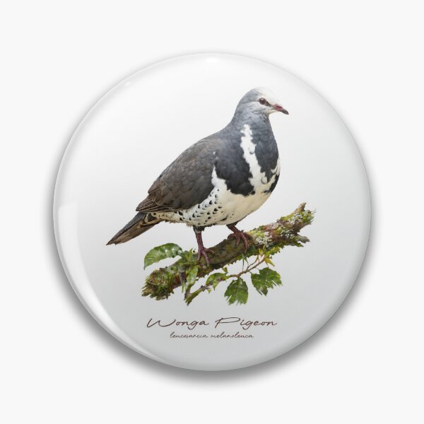 Item preview, Wonga Pigeon on Tree designed and sold by Takeda-art.