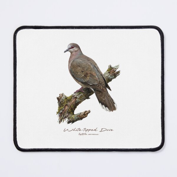 Item preview, White-tipped Dove on Mossy Tree designed and sold by Takeda-art.