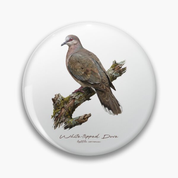Item preview, White-tipped Dove on Mossy Tree designed and sold by Takeda-art.