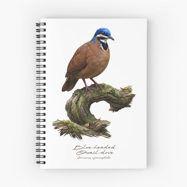 Item preview, Blue-headed Quail-dove on Tree designed and sold by Takeda-art.