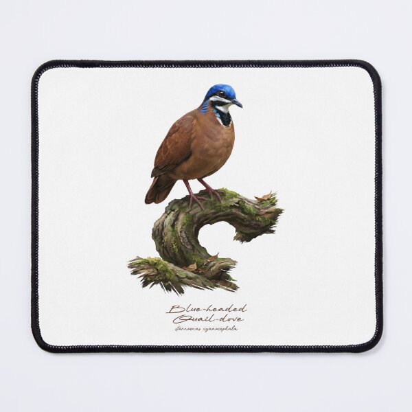 Item preview, Blue-headed Quail-dove on Tree designed and sold by Takeda-art.
