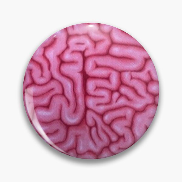 Item preview, Brain designed and sold by birdieco.