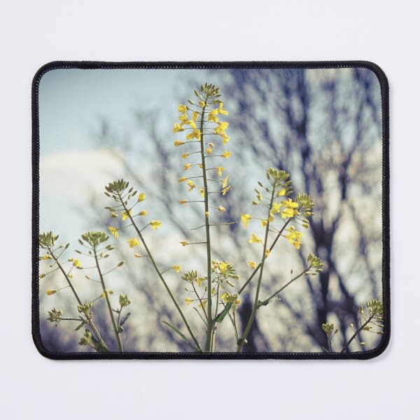 Item preview, Rapeseed designed and sold by pigeonlovrs.