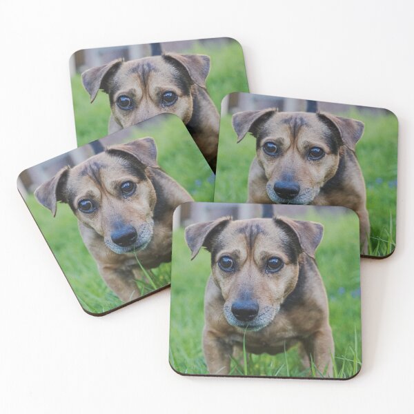 Item preview, Dog in meadow designed and sold by pigeonlovrs.