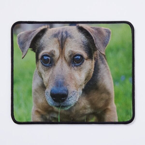 Item preview, Dog in meadow designed and sold by pigeonlovrs.