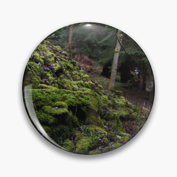 Item preview, Moss in wales designed and sold by RDphotography92.