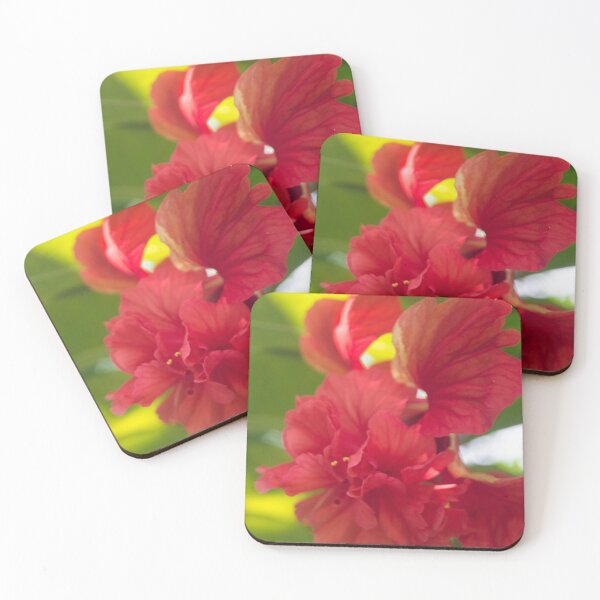 Item preview, China rose designed and sold by ROSE ANN BANILAR.