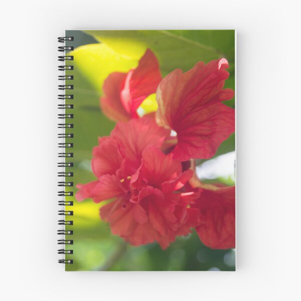 Item preview, China rose designed and sold by ROSE ANN BANILAR.