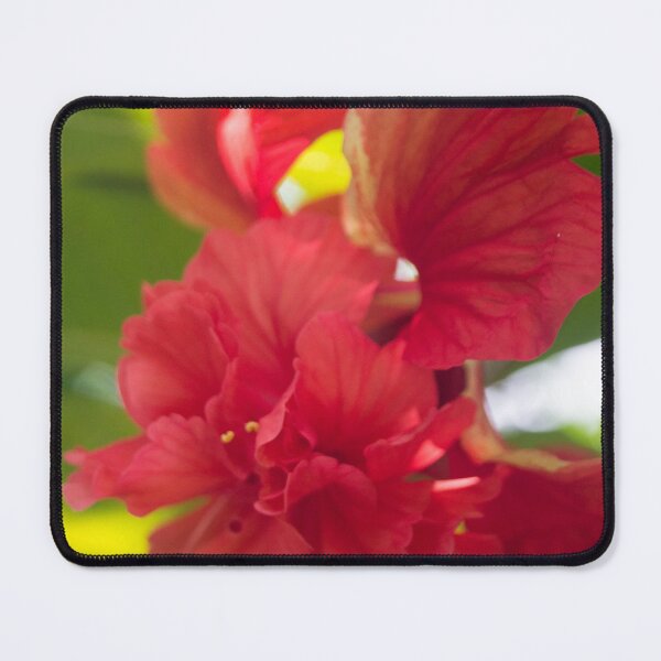 Item preview, China rose designed and sold by ROSE ANN BANILAR.