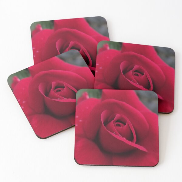 Item preview, Delicate Red Rose Rosa After The Rain designed and sold by vtspatial.